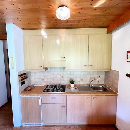 Apartments Spirit Of Mountains Разун-ди-Сопра Номер фото
